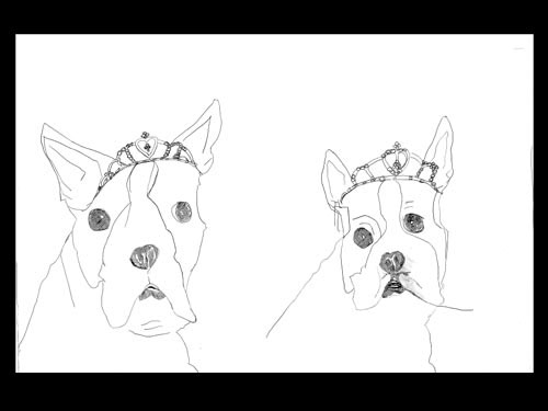 Dogs with Crowns